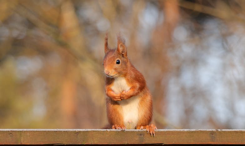 Si nos hubiéramos conocido antes…