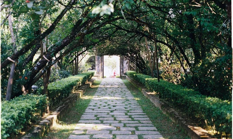 Soy la sirvienta invisible de mi propia familia: mi embarazo no le importa a nadie