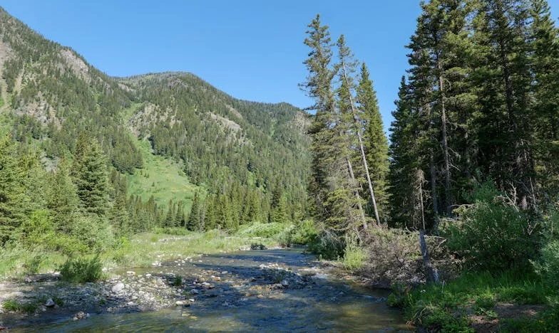Vacaciones en busca de la felicidad: Un verano en Puerto Escondido
