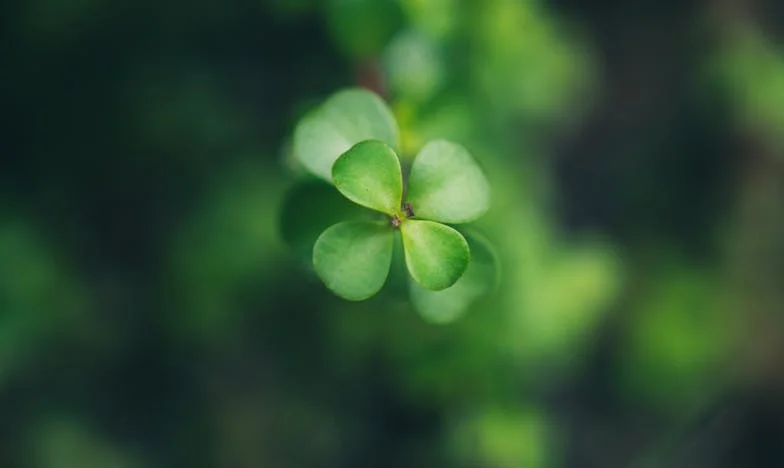 Ya no abro la puerta