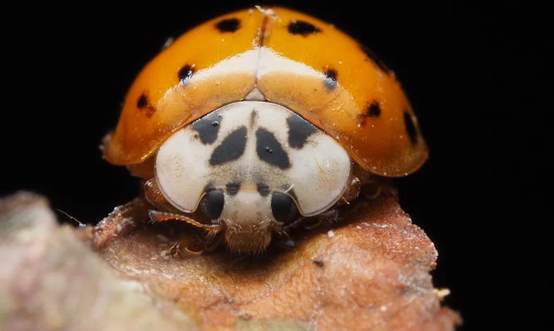 Bajo el frío de la madrugada: una historia de abandono y esperanza