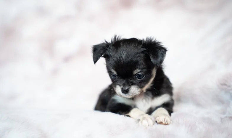 Bajo el mismo techo: Guerra silenciosa con mi suegra y la lucha por mi dignidad