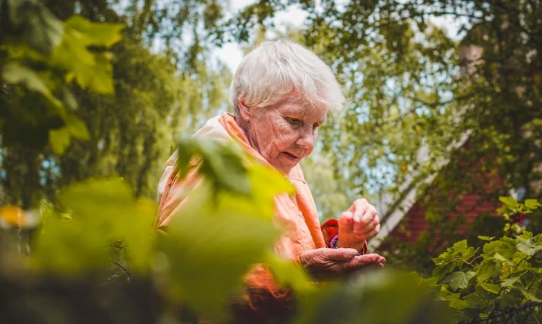 Cada vez que mi yerno regresa a casa, tengo que esconderme: El dolor de una abuela mexicana