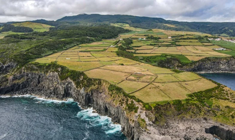 Cinco años después: Las cicatrices de una traición