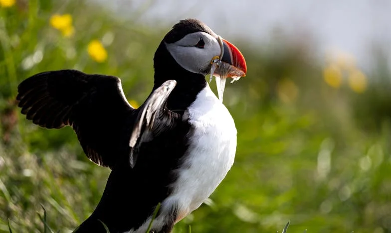 Cuando Elda se fue: Crónica de un padre solo en Ciudad de México