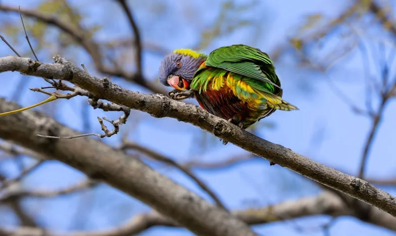 Diez años después: Cuando los errores dejan cicatrices