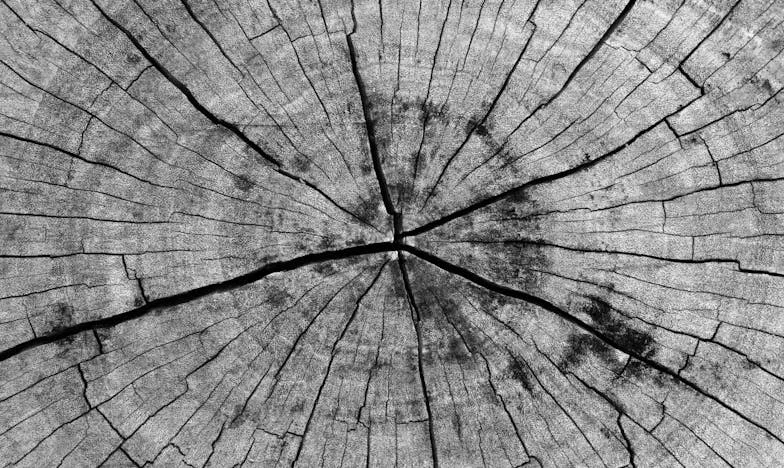 El cumpleaños que nunca olvidaré: entre ollas, secretos y lágrimas