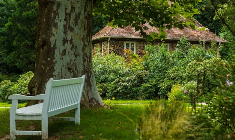 El día que escuché el secreto: la decisión que rompió mi familia