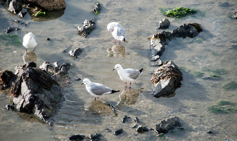 El día que mi hijo se fue: entre el dolor y la esperanza