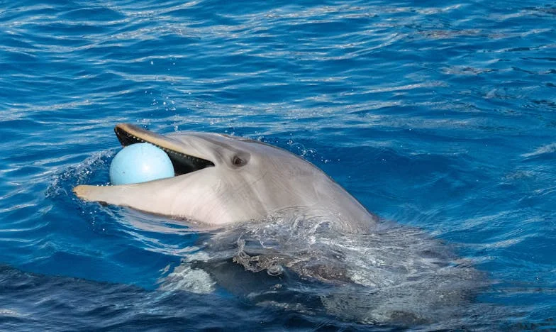 El día que mi mundo se volcó: Entre el amor y la traición familiar