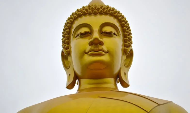 El eco de los recuerdos: Una visita al pasado