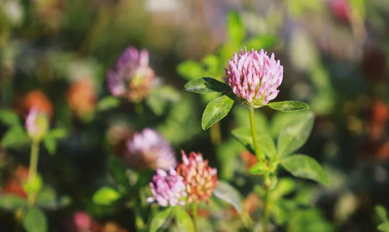 El giro del destino: la nueva vida de Valeria