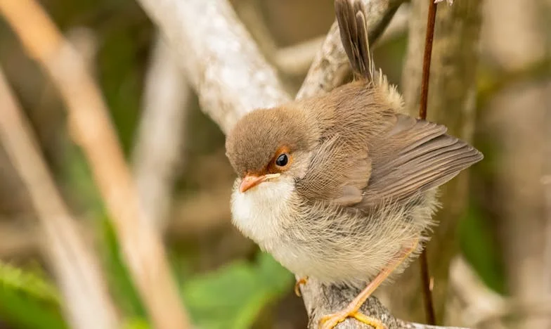 El lazo invisible: El secreto de mi hijo que nos salvó