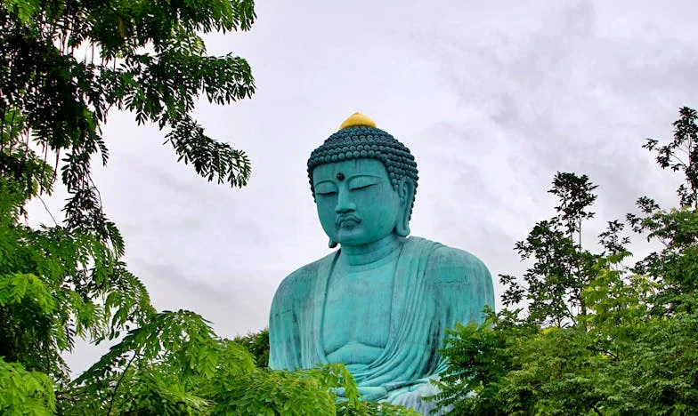 El Lobo Que Dormía en Mi Cama: La Historia de Un Matrimonio Roto por la Ambición