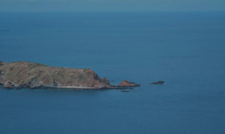 El mensaje que cayó del cielo: Un globo, una carta y la verdad de mi familia