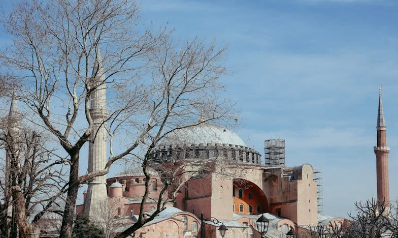El nieto que nunca conocí: secretos bajo el jacarandá