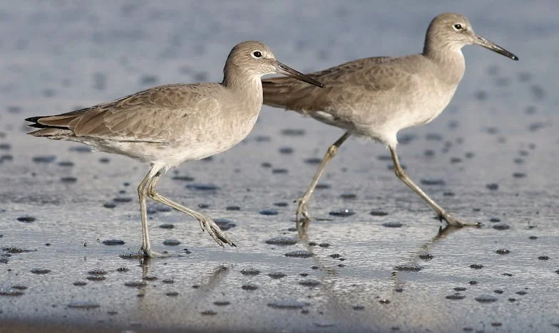 El precio de mi libertad: la historia de Mariana