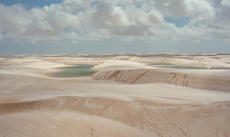 El precio de una fiesta: Cuando el orgullo pesa más que la sangre