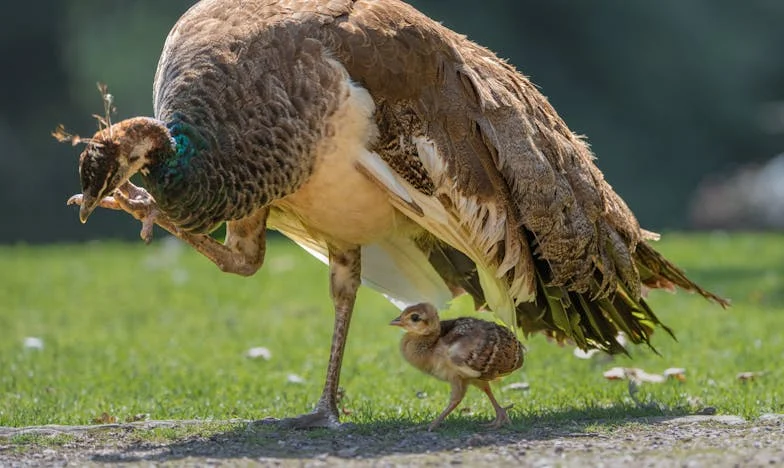 El precio del orgullo: Una tarde que nunca olvidaré