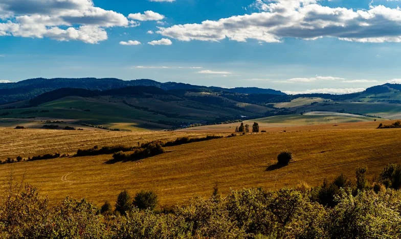 El precio del silencio: el secreto que rompió mi hogar