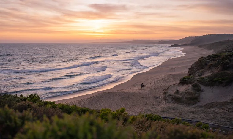 El Regreso de Lucía: Entre Sombras y Esperanza