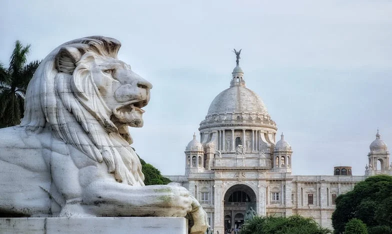 El Silencio de los Domingos: La Soledad de una Madre Olvidada