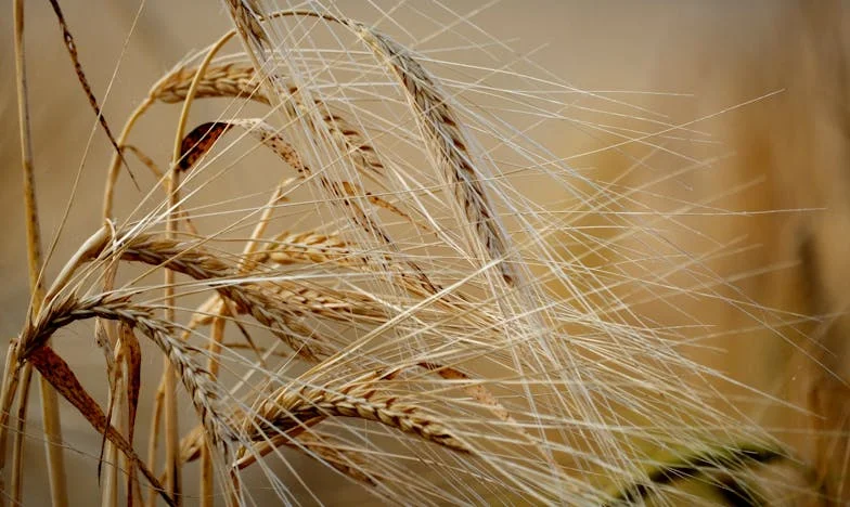 El último abrazo de Luciana: Entre lágrimas y esperanza en un hospital de Bogotá