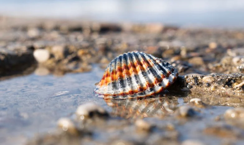 En la cocina de mi suegra descubrí que mi matrimonio era una mentira