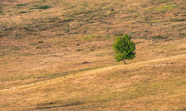 Entre el amor y el cansancio: La decisión que me rompió el alma