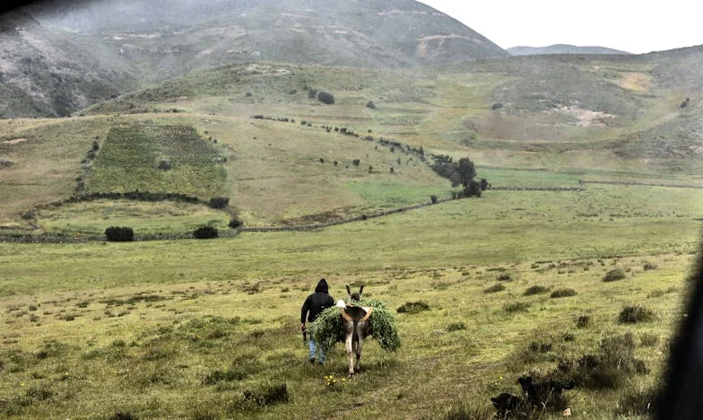 Entre el amor y el orgullo: El día que mi madre me expuso ante todos