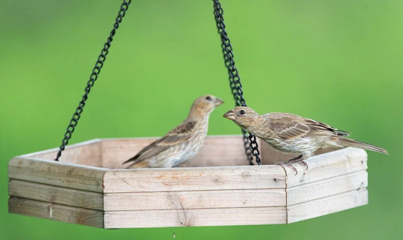 Entre el amor y la culpa: La decisión más difícil de mi vida
