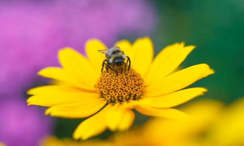 Entre el amor y la justicia: La historia de una familia rota y la lucha por un hogar