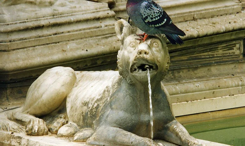 Entre el amor y mis propios límites: Confesiones de una abuela en Lima