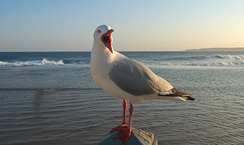 Entre el orgullo y el amor: La noche en que mi hijo volvió