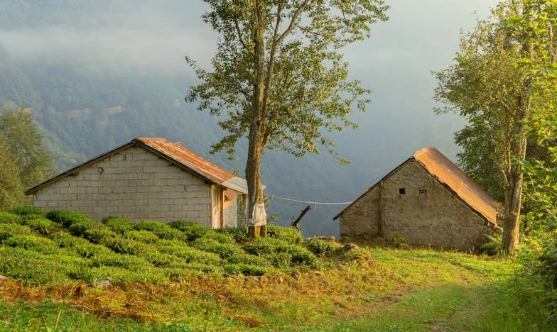 Entre el sofá y la ventana: la historia de Mariana