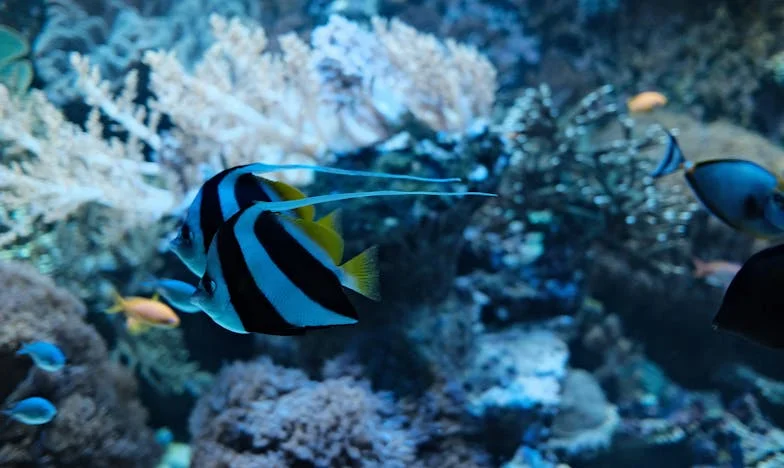 Entre la culpa y el amor: La decisión más difícil de mi vida