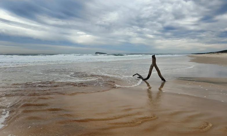 Entre la Fe y el Miedo: Mi Lucha con un Vecino y la Ira de Mi Esposo