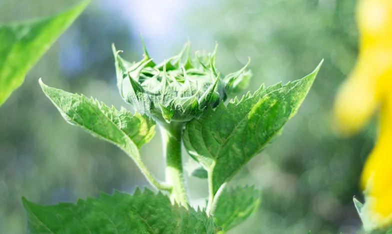 Entre Sombras y Esperanza: El Miedo que Me Robó la Paz