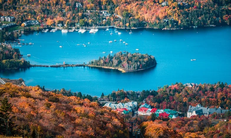 Entre Sombras y Luz: Cómo Logré Liberarme de la Sombra de mi Suegra