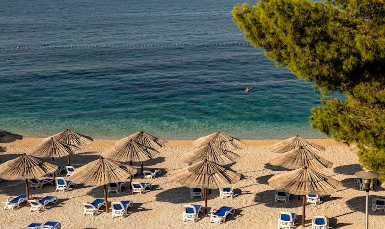 Entre Sombras y Raíces: La Historia de una Madre Invisible