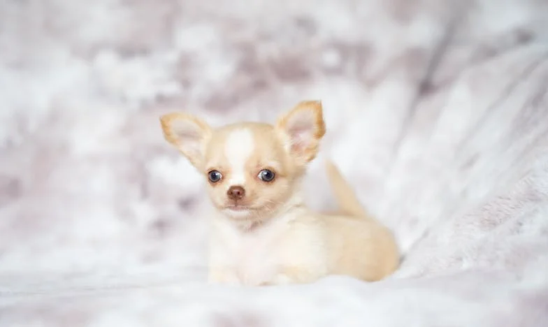 Hasta que deje a ese hombre, no verá un peso: La historia de una madre mexicana