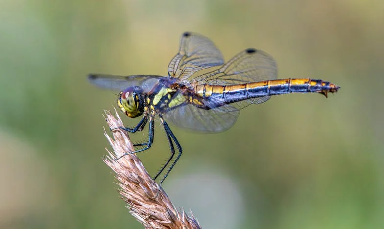 Herencia de Sombras: El precio de proteger a mi hijo