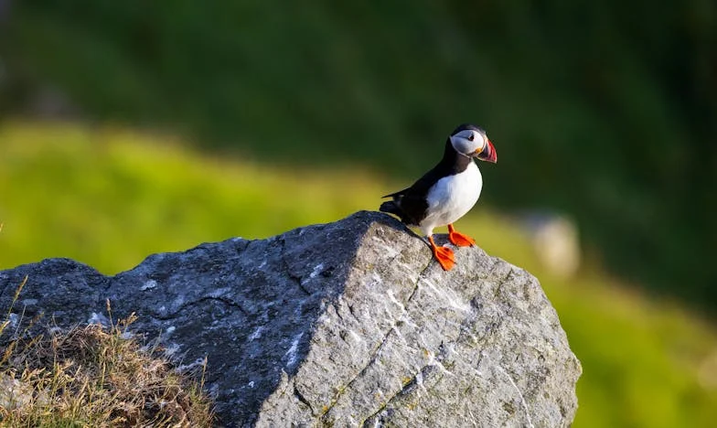 La Casa de la Abuela: Herencia y Carga