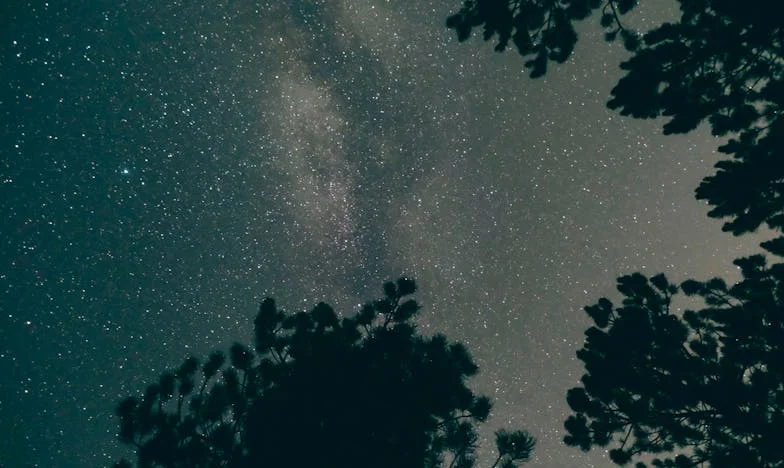 La petición inesperada de mi abuela: Entre el amor y el dinero