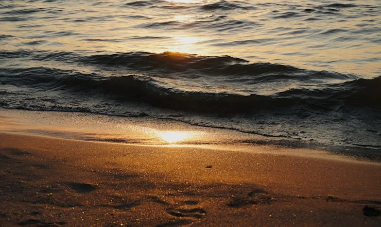 La Receta del Cambio: Un Sabor Amargo y una Nueva Esperanza