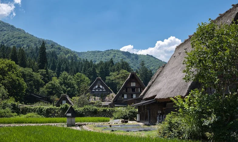 La Sombra de Mamá Rosa: Un Domingo en el Parque y el Peso de la Familia