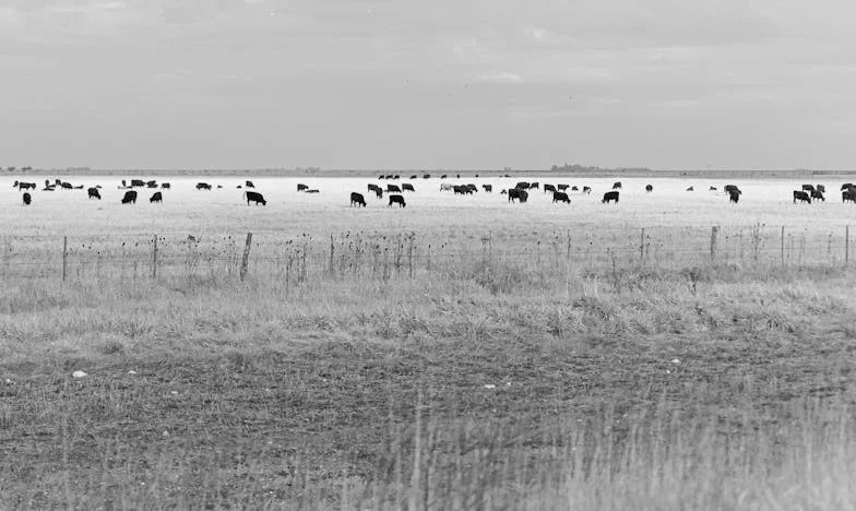 La traición de mi hermana: ¿Cómo pudiste, Mariana?