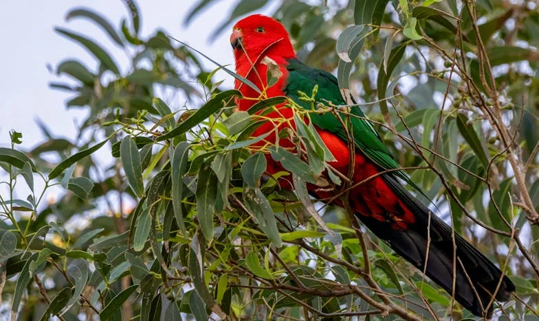 La última gota: Entre suegras y madres, mi hogar en juego