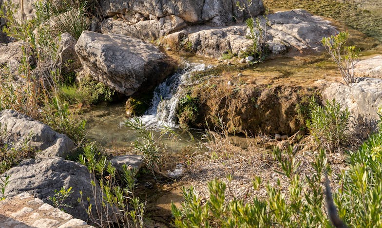La verdad detrás de la puerta: El día que mi mundo se quebró