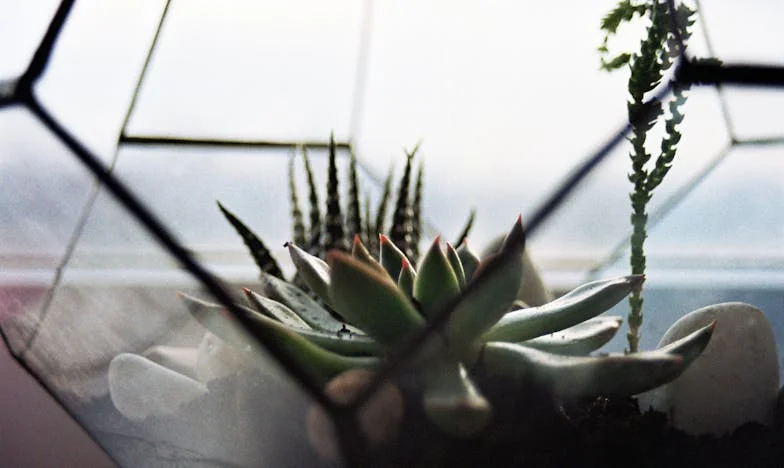 “Levántate y hazme café”: Cuando mi cuñado rompió la paz de nuestro hogar